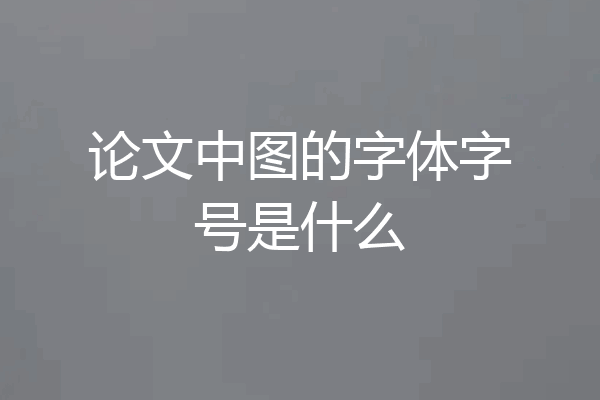 论文中图的字体字号是什么