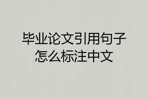毕业论文引用句子怎么标注中文