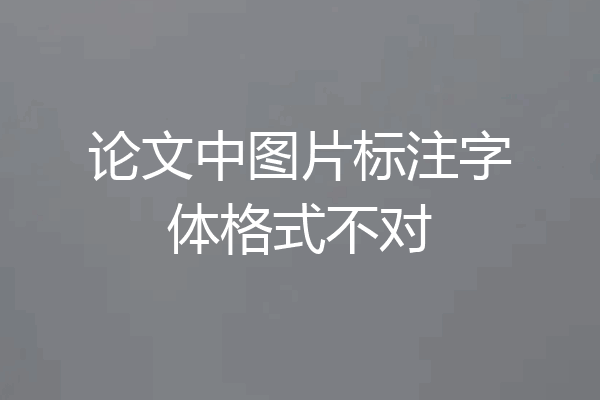 论文中图片标注字体格式不对