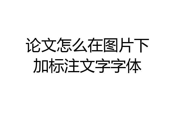 论文怎么在图片下加标注文字字体