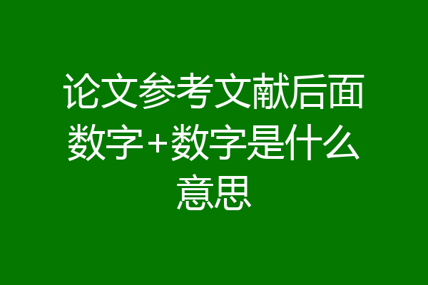 论文参考文献后面数字+数字是什么意思