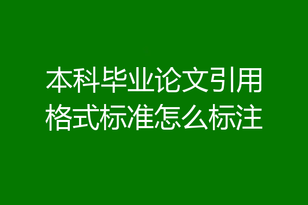 本科毕业论文引用格式标准怎么标注