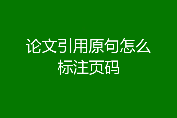 论文引用原句怎么标注页码