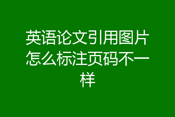 英语论文引用图片怎么标注页码不一样