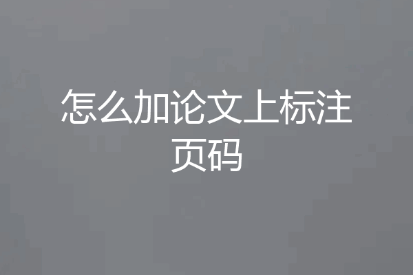 怎么加论文上标注页码
