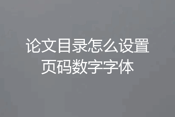 论文目录怎么设置页码数字字体