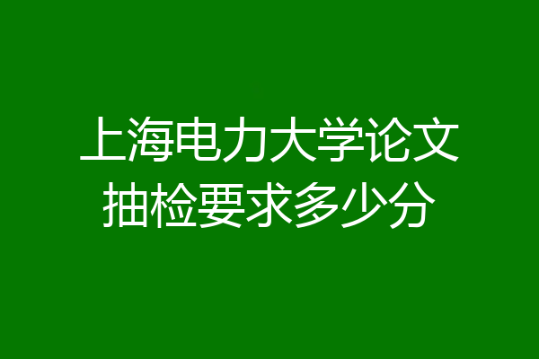 上海电力大学论文抽检要求多少分