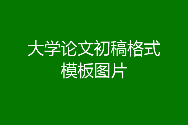 大学论文初稿格式模板图片