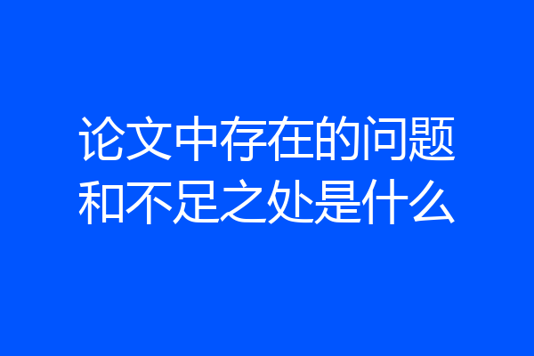 论文中存在的问题和不足之处是什么