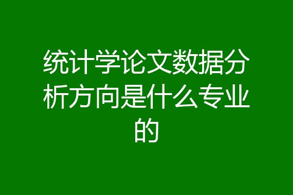 统计学论文数据分析方向是什么专业的