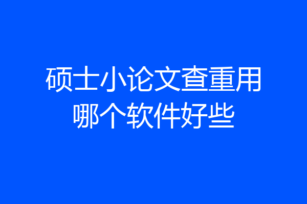 硕士小论文查重用哪个软件好些