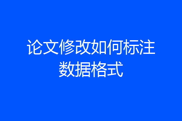 论文修改如何标注数据格式