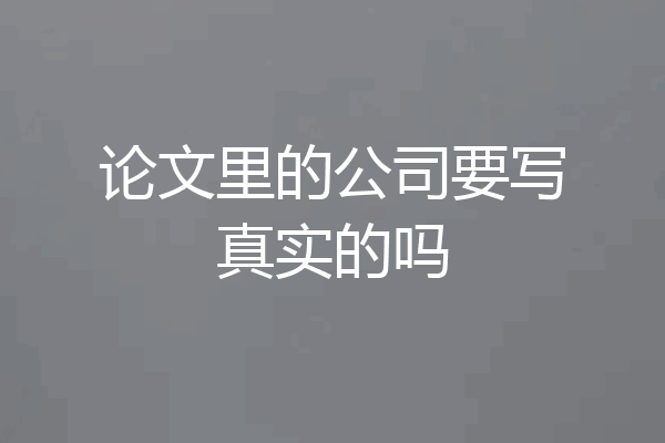 论文里的公司要写真实的吗