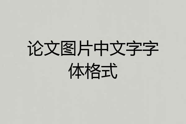 论文图片中文字字体格式
