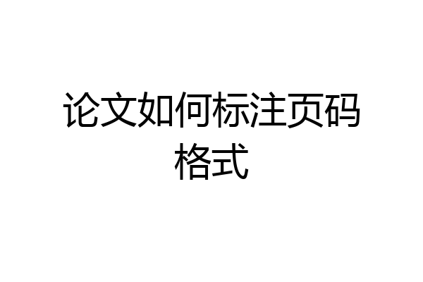 论文如何标注页码格式