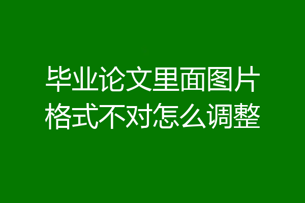 毕业论文里面图片格式不对怎么调整