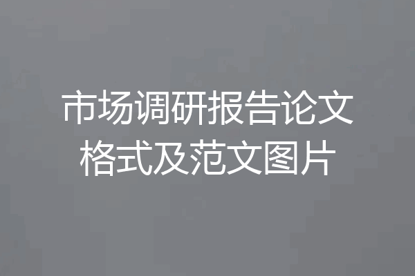 市场调研报告论文格式及范文图片