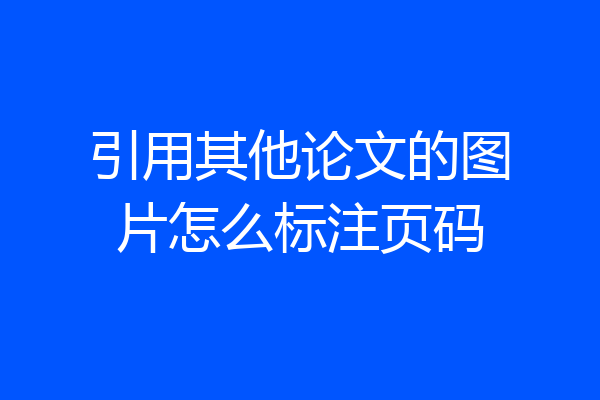 引用其他论文的图片怎么标注页码