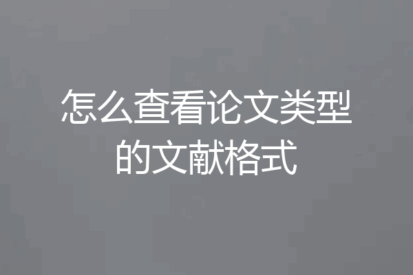 怎么查看论文类型的文献格式