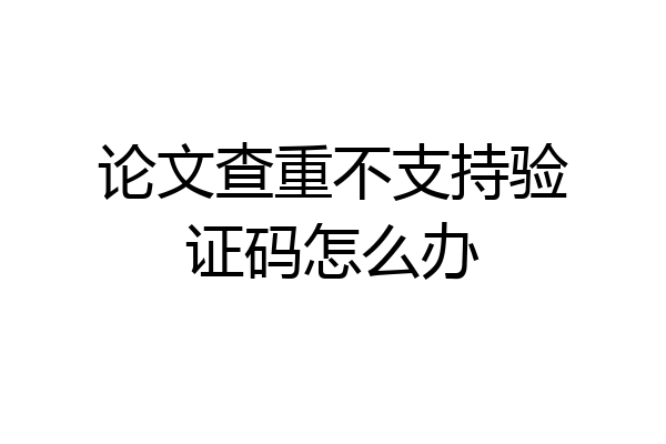 论文查重不支持验证码怎么办