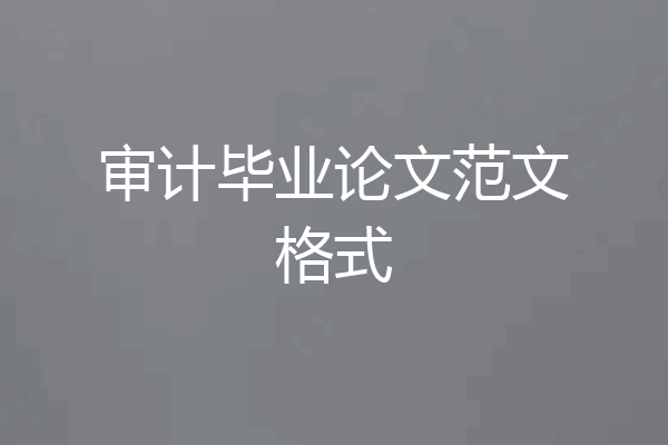 审计毕业论文范文格式