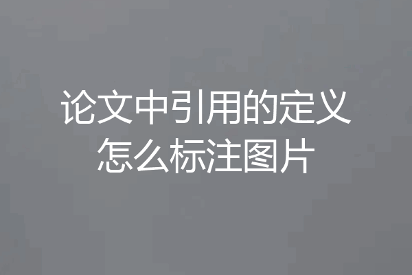 论文中引用的定义怎么标注图片