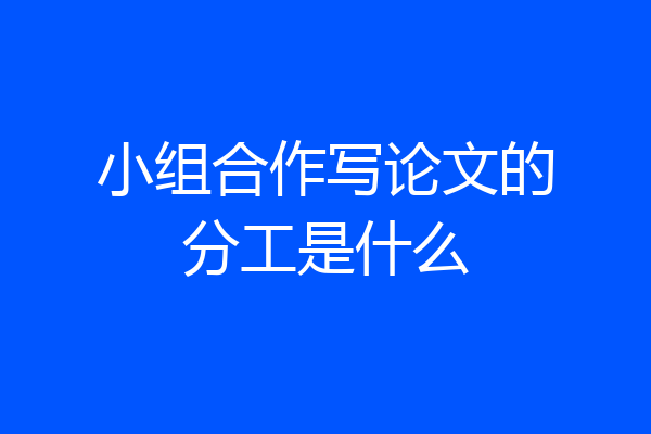 小组合作写论文的分工是什么