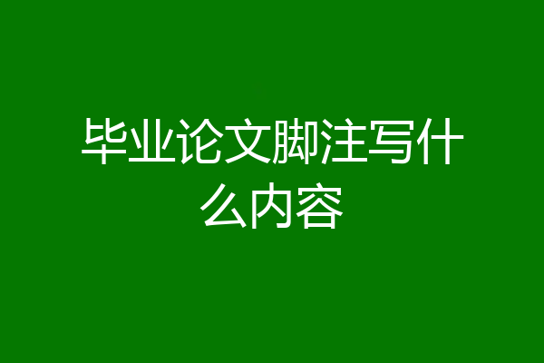 毕业论文脚注写什么内容