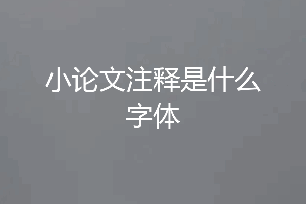 小论文注释是什么字体