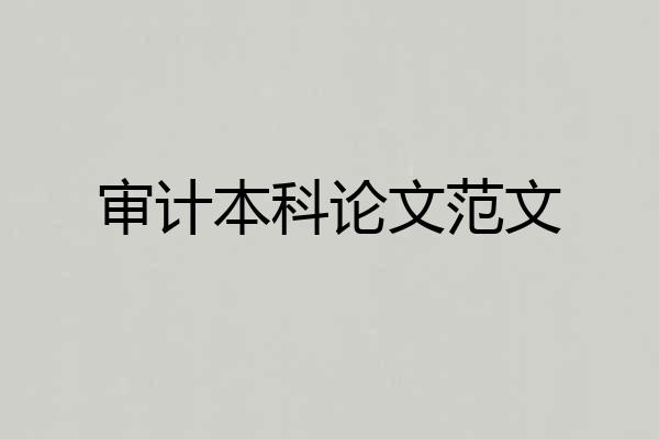 审计本科论文范文