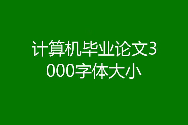 计算机毕业论文3000字体大小