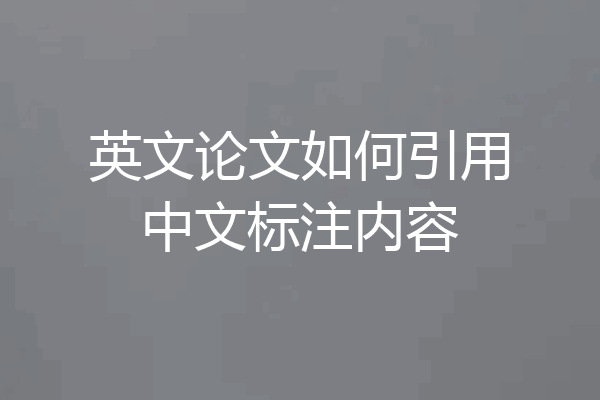 英文论文如何引用中文标注内容