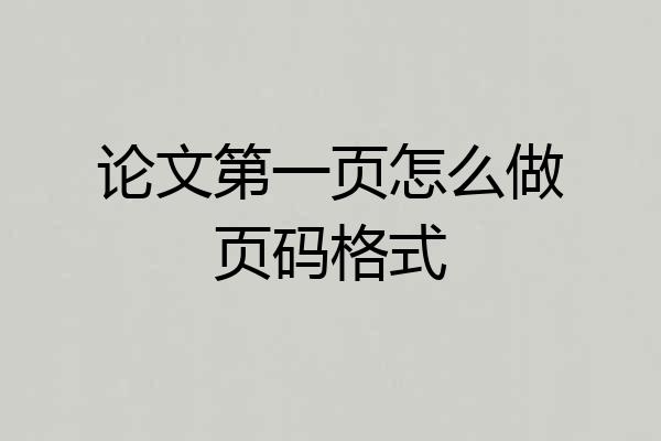 论文第一页怎么做页码格式