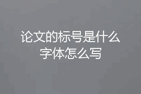 论文的标号是什么字体怎么写