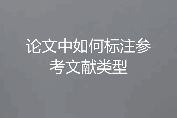 论文中如何标注参考文献类型