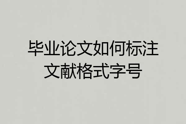 毕业论文如何标注文献格式字号