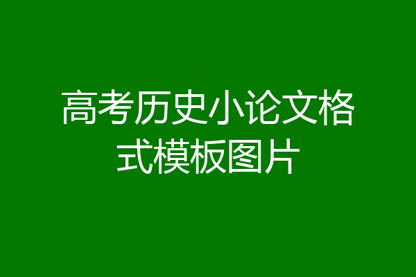 高考历史小论文格式模板图片