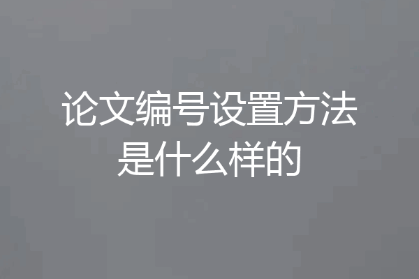 论文编号设置方法是什么样的