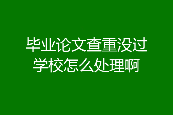 毕业论文查重没过学校怎么处理啊