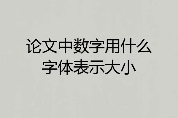 论文中数字用什么字体表示大小