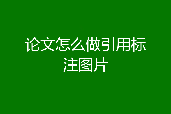 论文怎么做引用标注图片