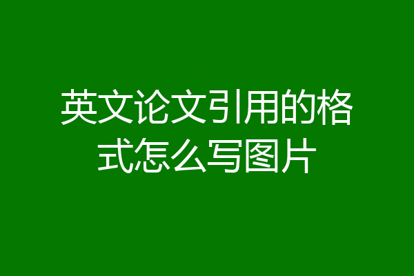 英文论文引用的格式怎么写图片