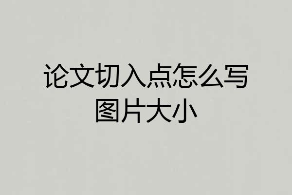 论文切入点怎么写图片大小