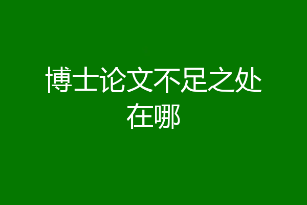 博士论文不足之处在哪
