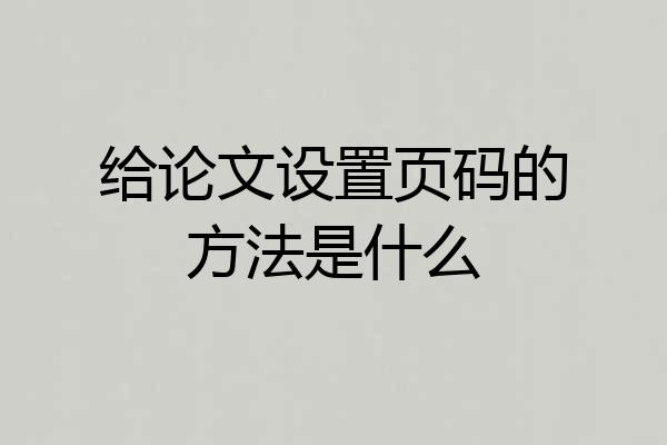 给论文设置页码的方法是什么
