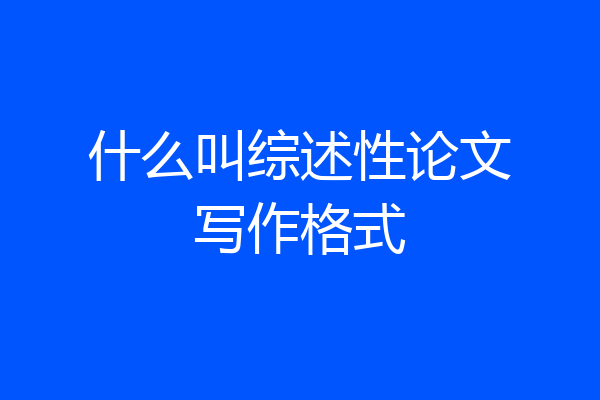 什么叫综述性论文写作格式