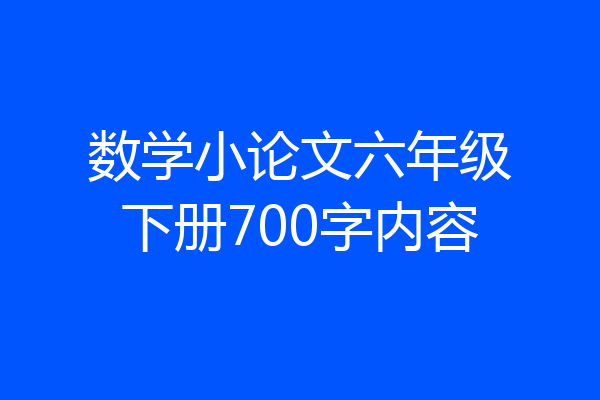 数学小论文六年级下册700字内容