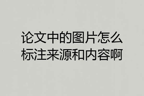 论文中的图片怎么标注来源和内容啊