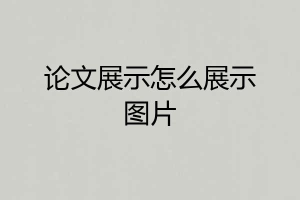 论文展示怎么展示图片