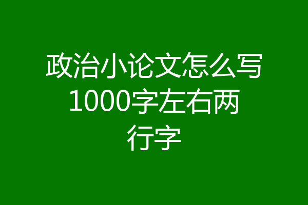 政治小论文怎么写1000字左右两行字